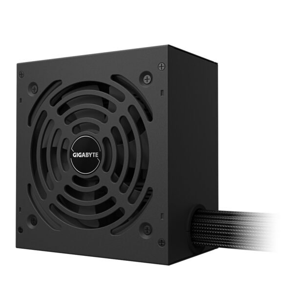 Gigabyte GP-P650G PG5