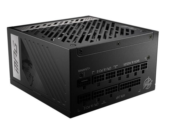 MSI 1000 W