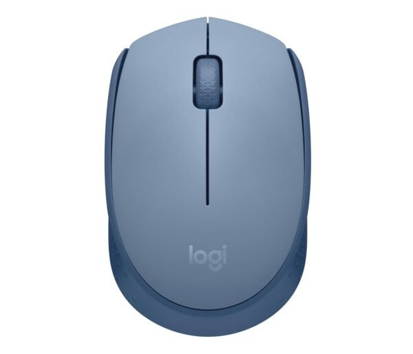 Logitech M171, mėlyna (910-006866)