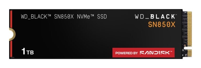 SanDisk 1000 GB M.2 PCIe 4.0 (WDS100T2X0E)