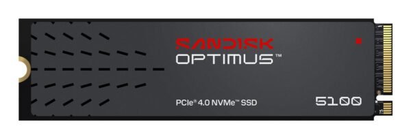 SanDisk 1000 GB M.2 PCIe 4.0 (SDSP51100TAN-000E0)
