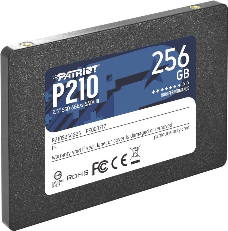 Patriot 256GB (P210S256G25)