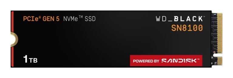 SanDisk 1000 GB M.2 PCIe 5.0