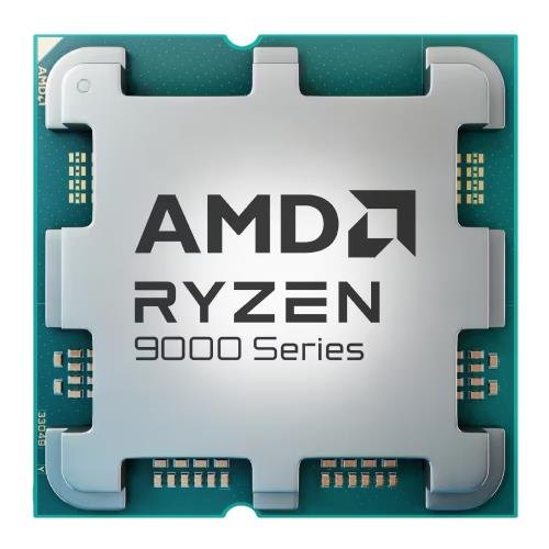 AMD Ryzen 9 9900X