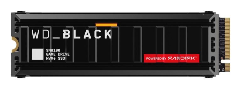 SanDisk 1000 GB M.2 PCIe 5.0 (WDS100T1XHM-00CMT0)